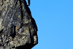 贝博体育 -明尼苏达大学土木工程排名
